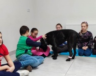 Dogoterapia w klasie 3b