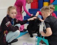 Dogoterapia w klasie 3b