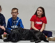 Dogoterapia w klasie 3b