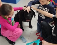 Dogoterapia w klasie 3b