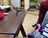 Dzień Lasu w Karczmie Borowej