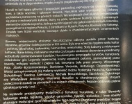 Zajęcia w muzeum klasy 2a