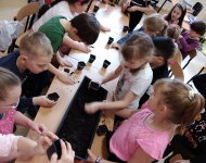 Ekologiczny tydzień w klasie 1a